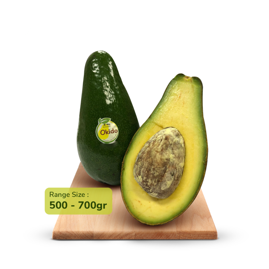 Alpukat Okido Premium Size L 500-700 gram 1pcs