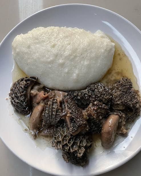 MoGodu