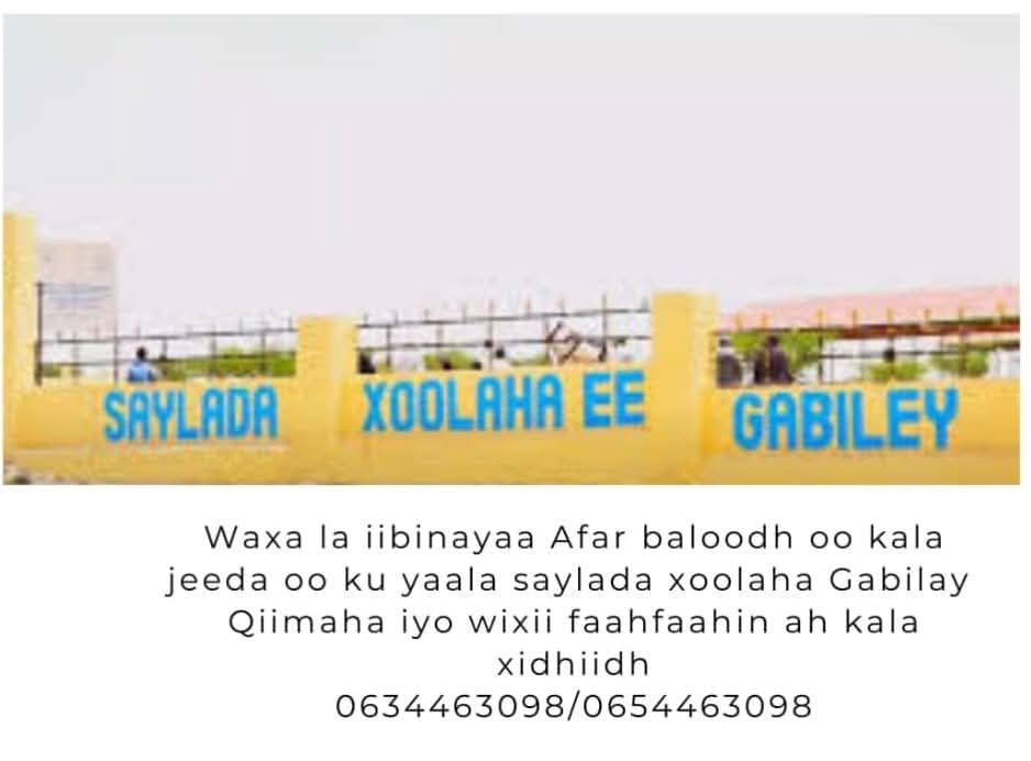 4 Baloodh oo Iib ah Gabilay Saylada