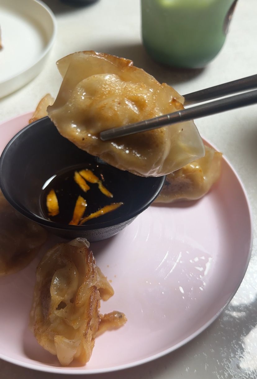 Gyoza with chicken & cheese