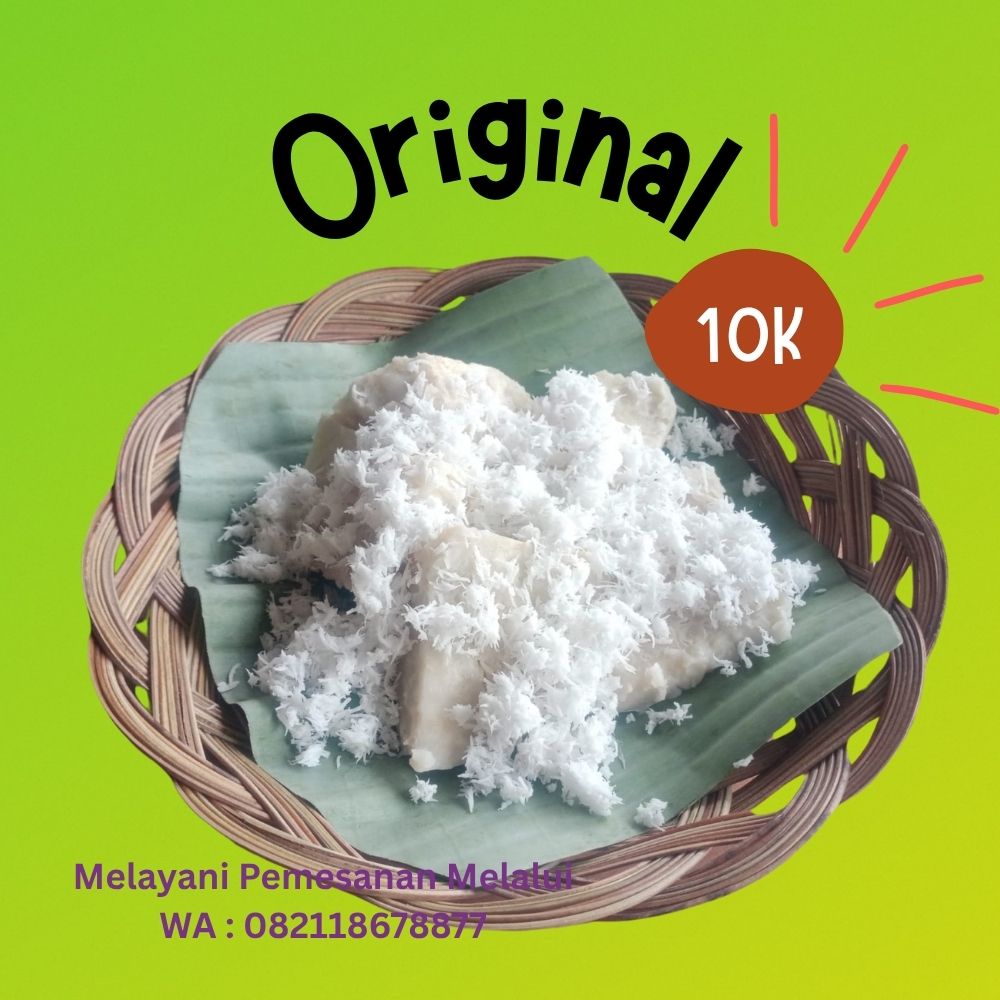 Talas Kukus Varian Original