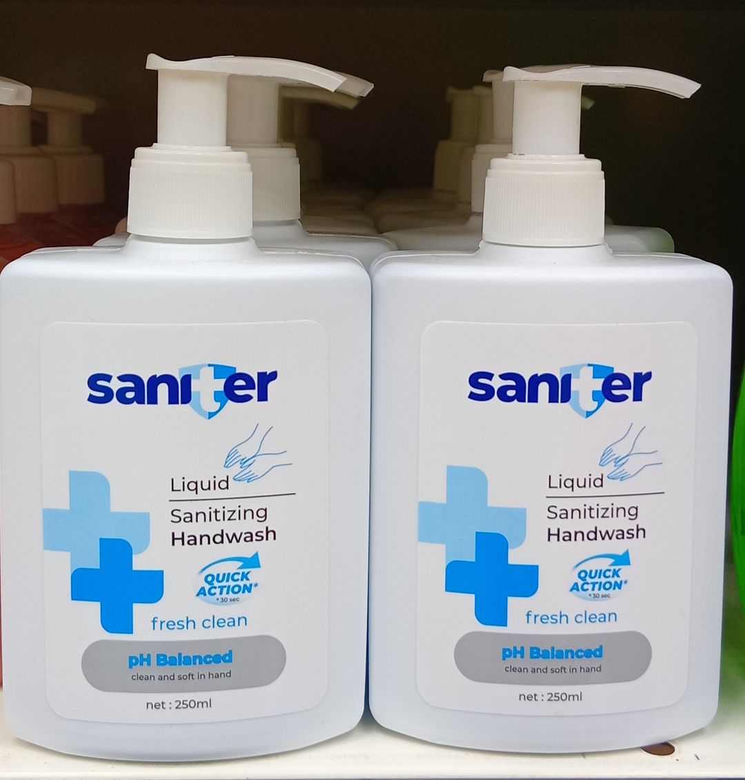 Saniter Liq. Handwash Sanitizing Fresh 250ml