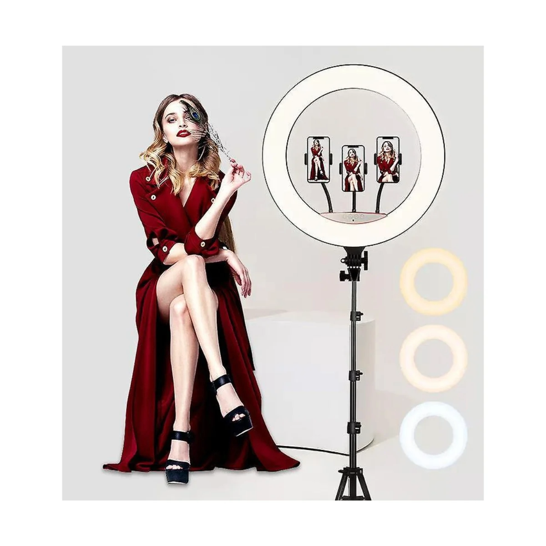 ARO DE LUZ BLANCA (3t) LJJ-22 22p O 56 cm