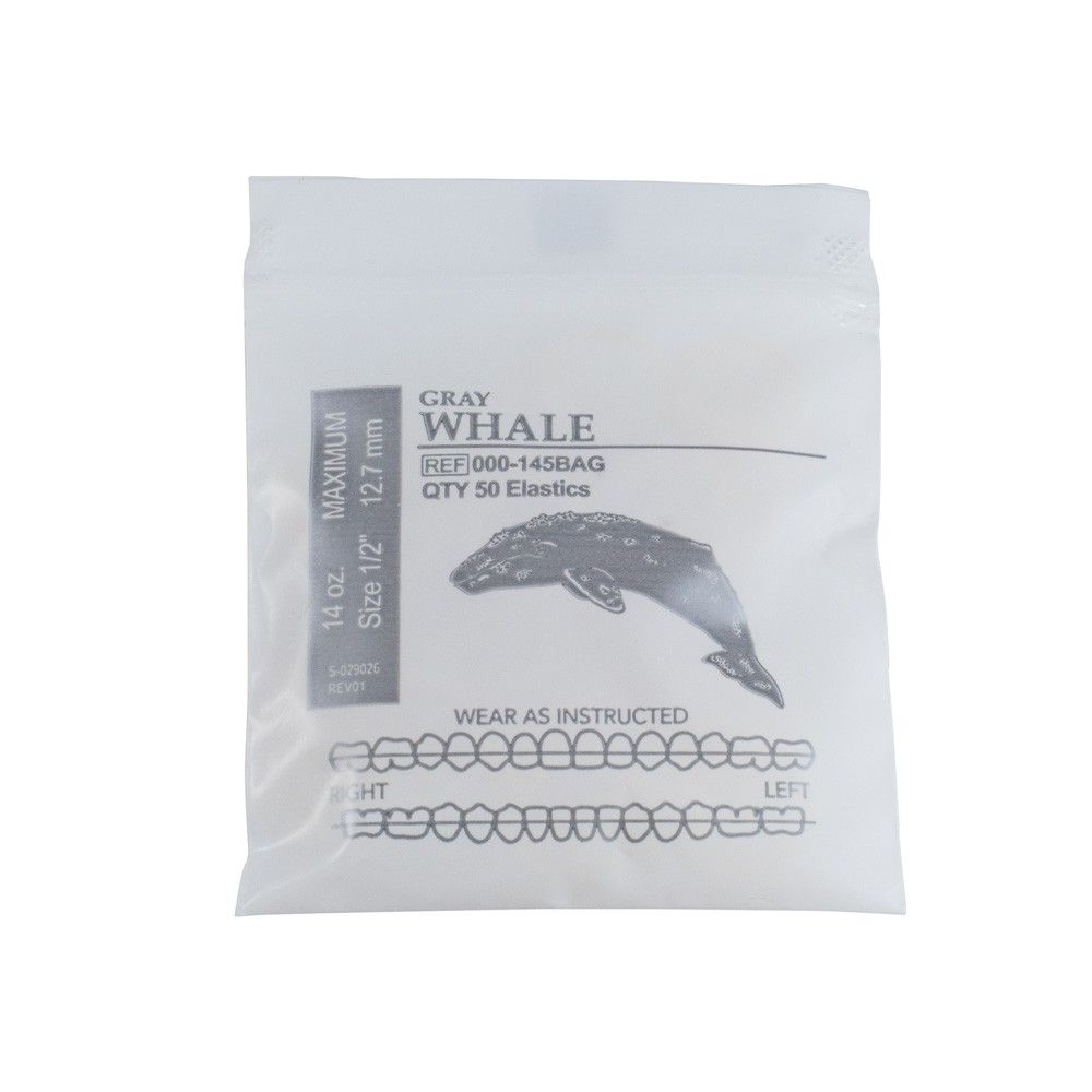 ELASTICS WILDLIFE GRAY WHALE