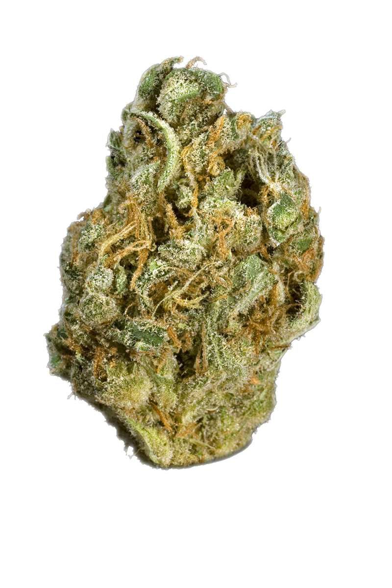 Pink Mango