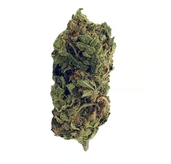 Skunk