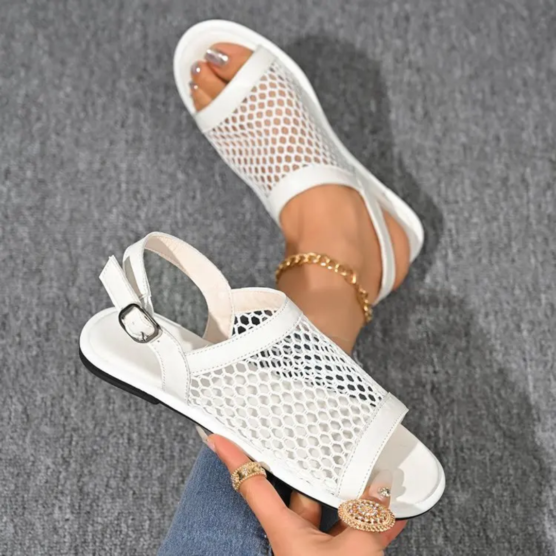 Chaussure 