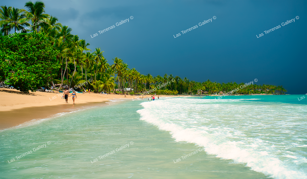 Playa Bonita 9650