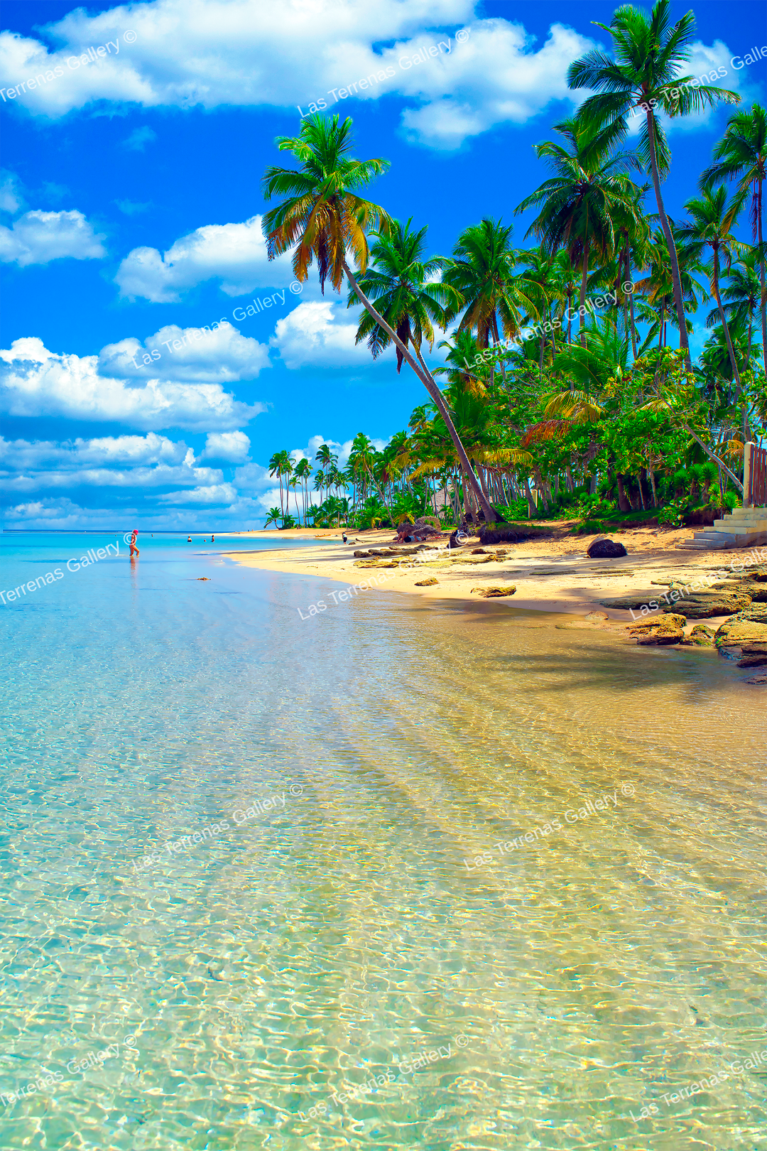 Punta Bonita 9767