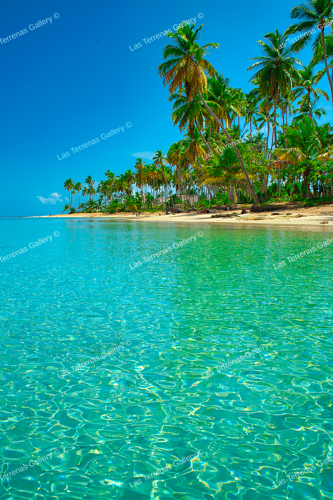 Punta Bonita 9771