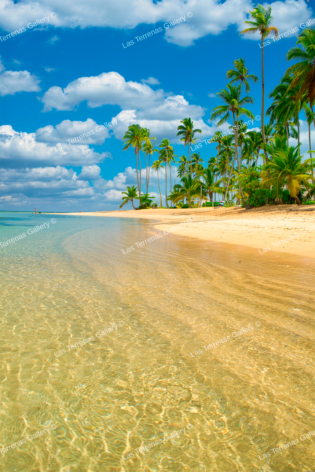 Punta Bonita 9811