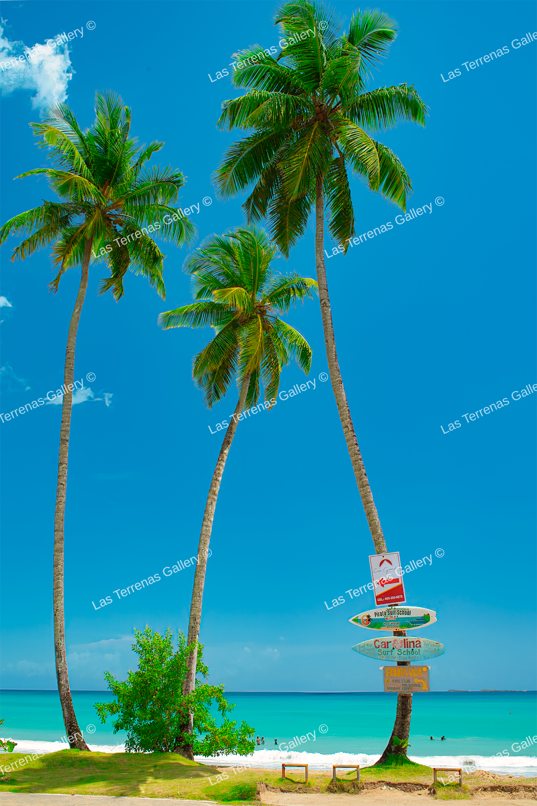 Playa Bonita 9811