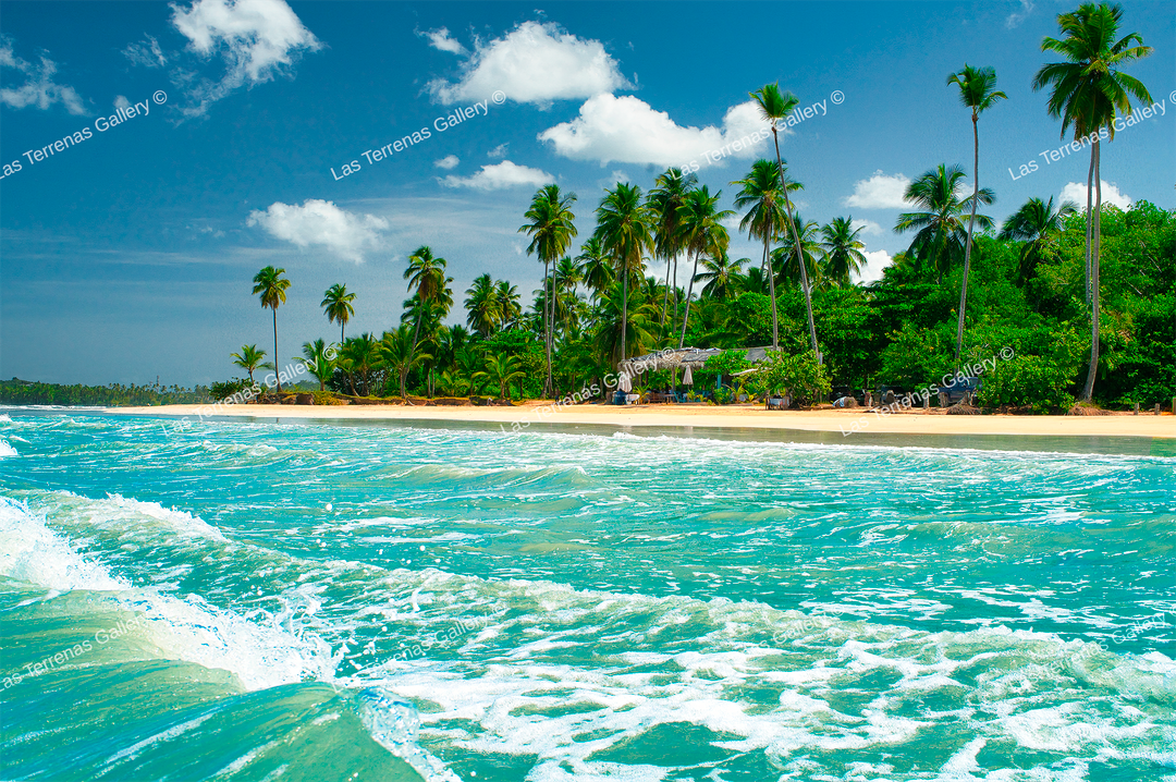Playa Cosón 2451