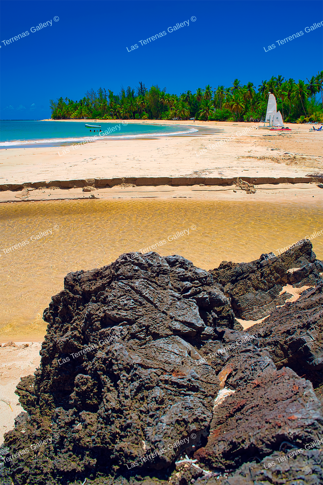 Playa Las Ballenas El Rio 1189