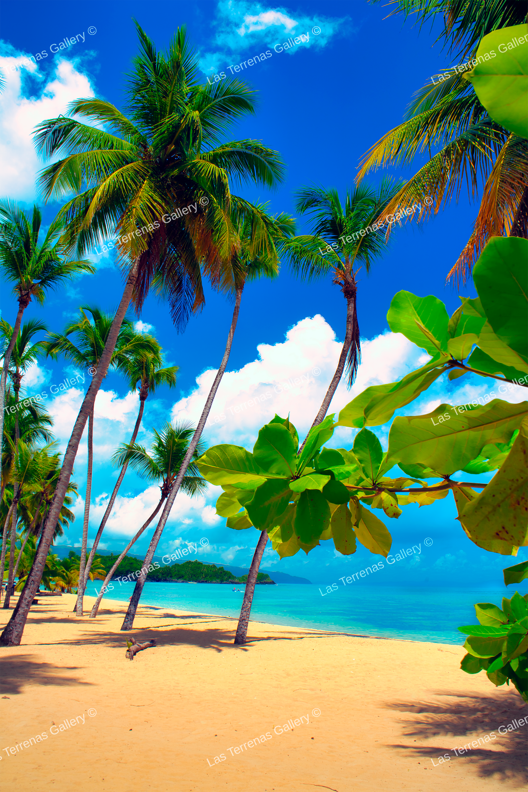 Playa Las Ballenas 1104