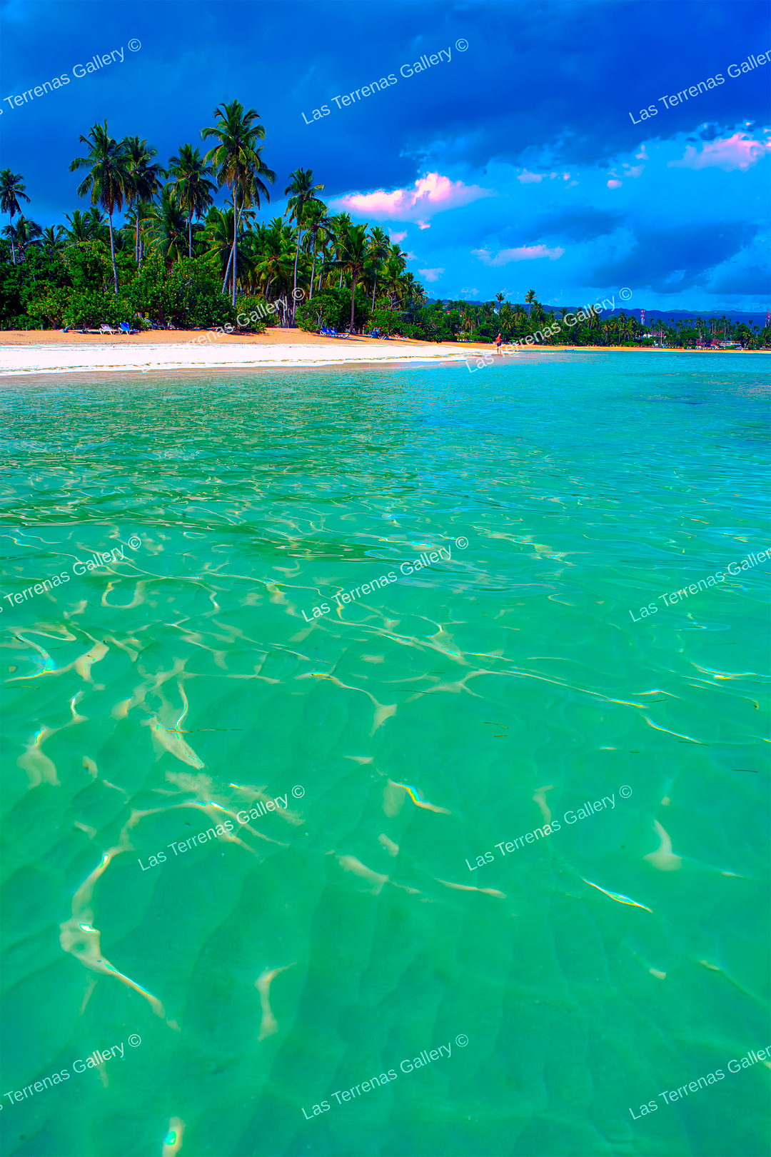 Playa Punta Poppy 1013