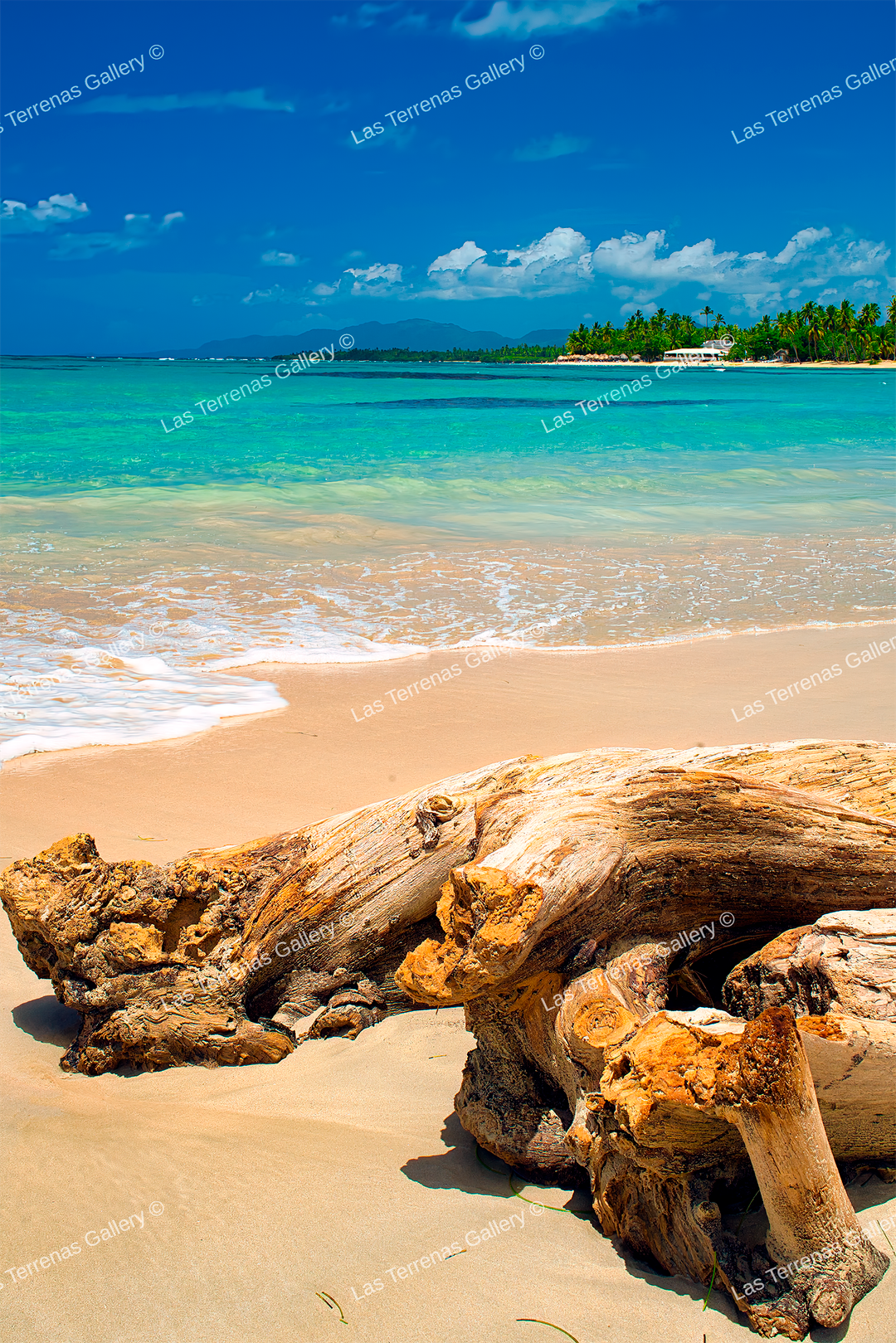 Playa El Portillo 894