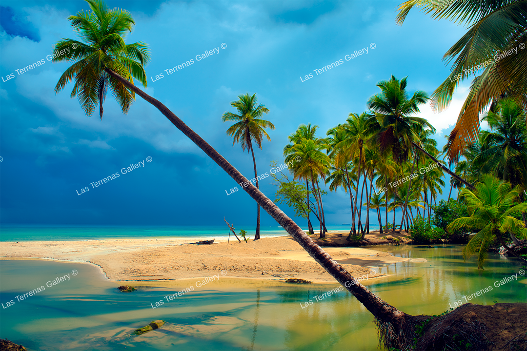 Playa Cosón Los Dos Rios 376