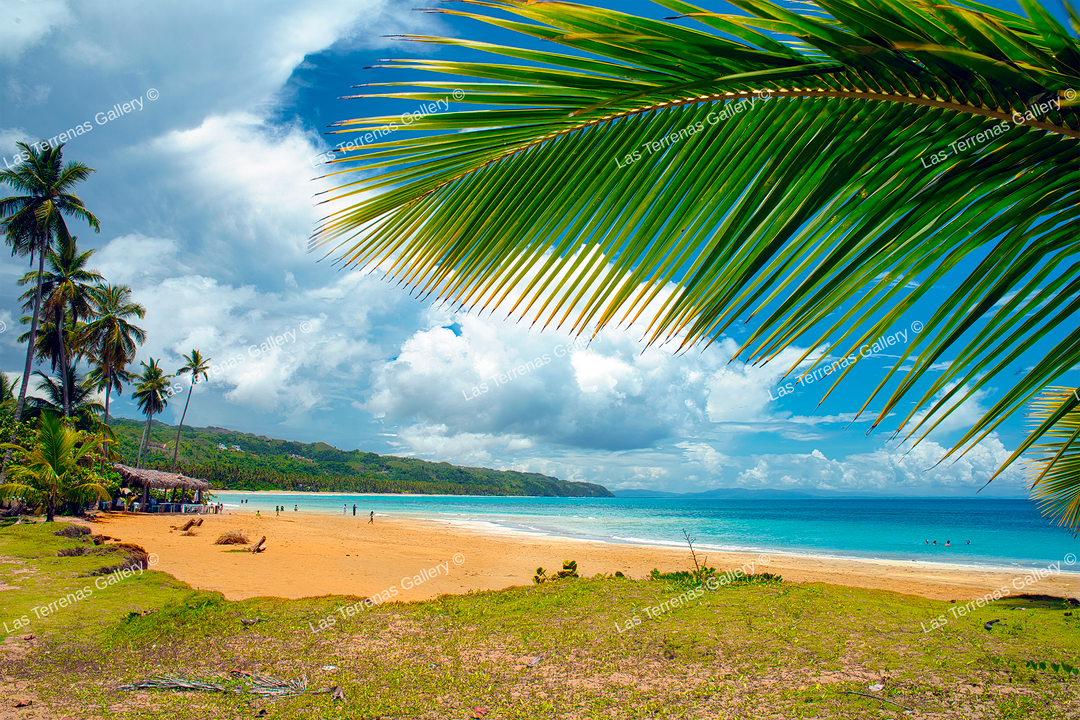 Playa Cosón 454