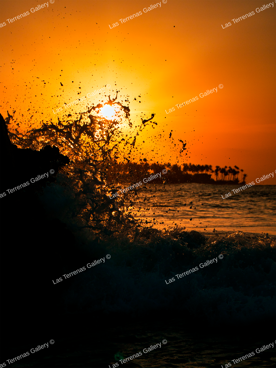 Playa Bonita 2285