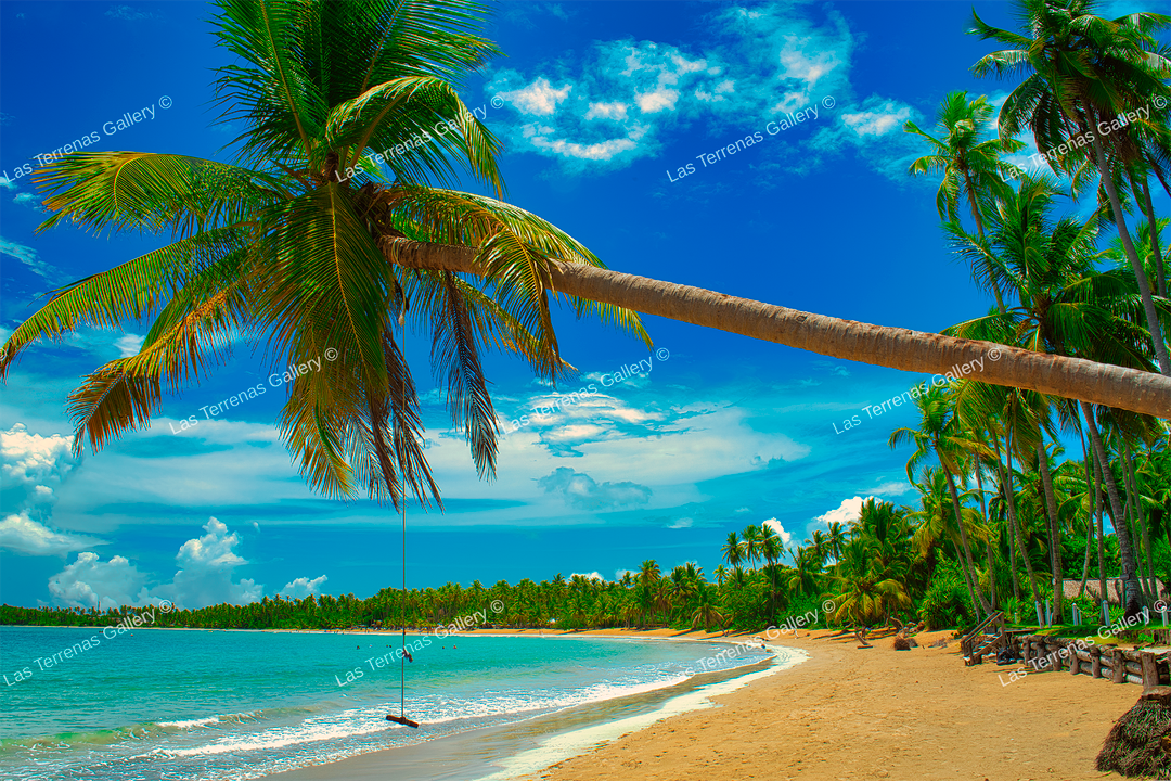 Playa Cosón 435