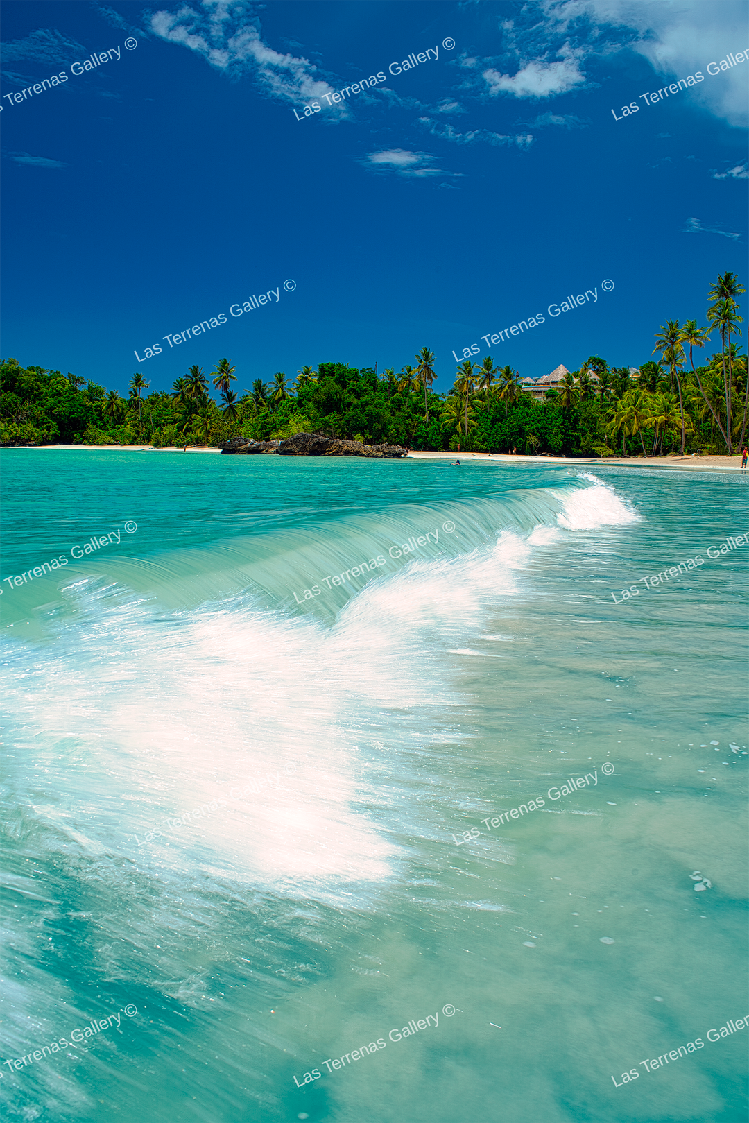 Playa Bonita 1457