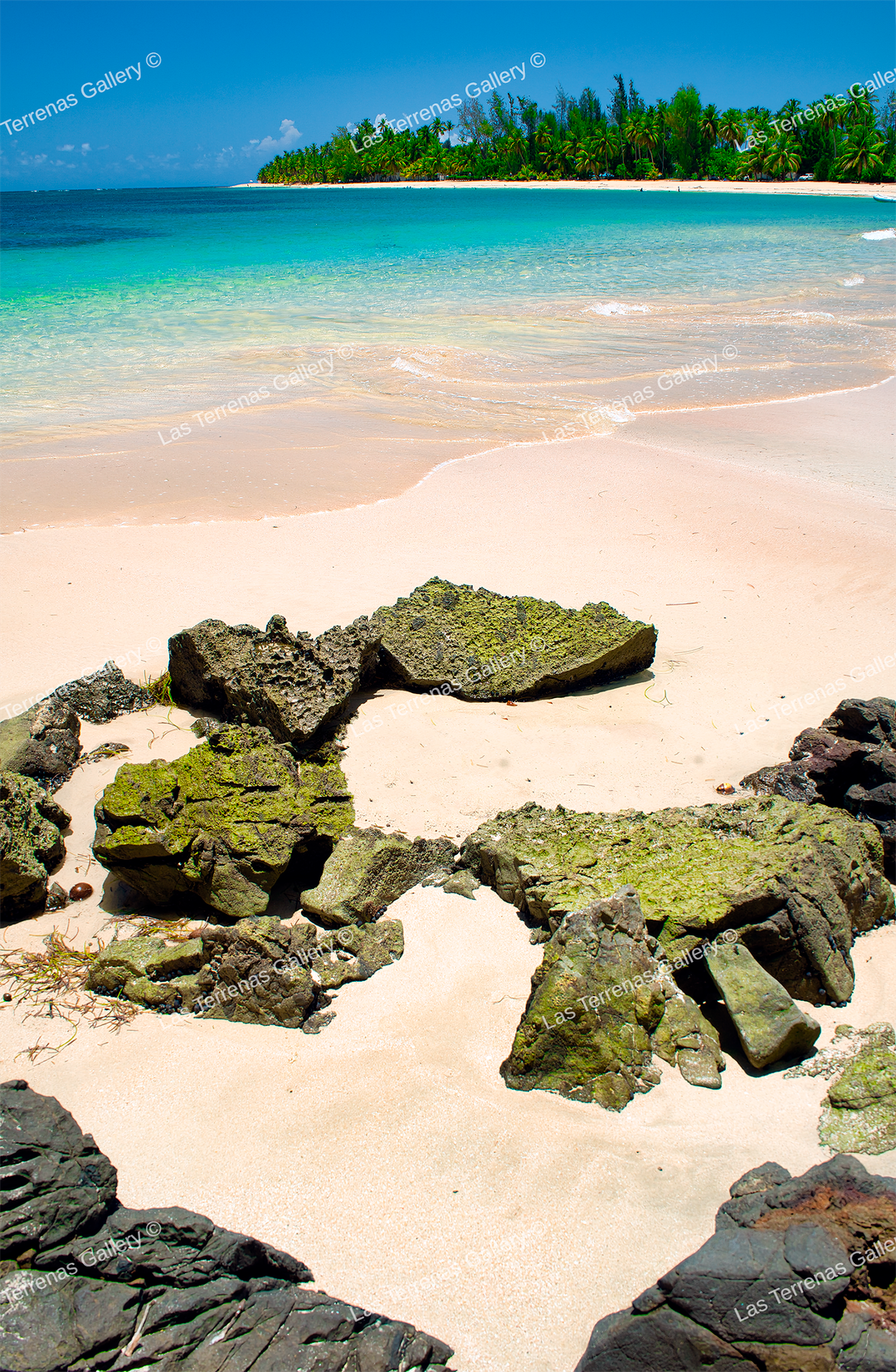 Playa Las Ballenas 1201