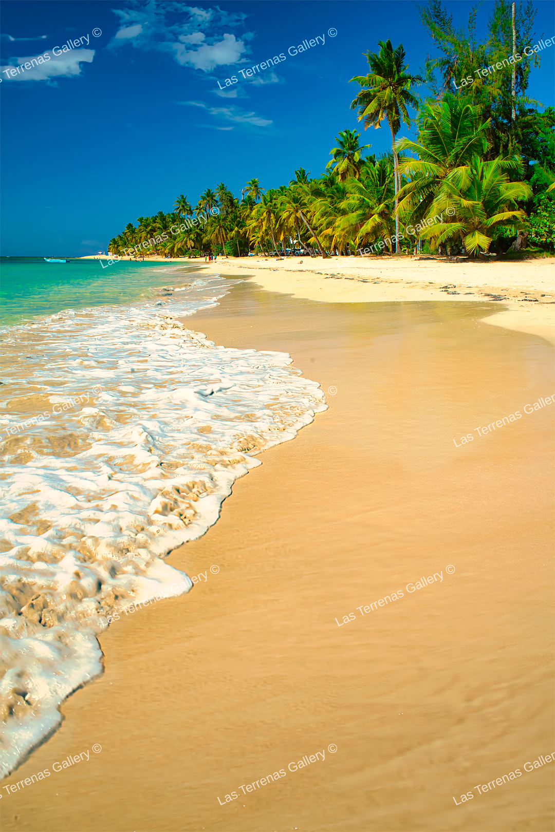 Playa Las Ballenas 703