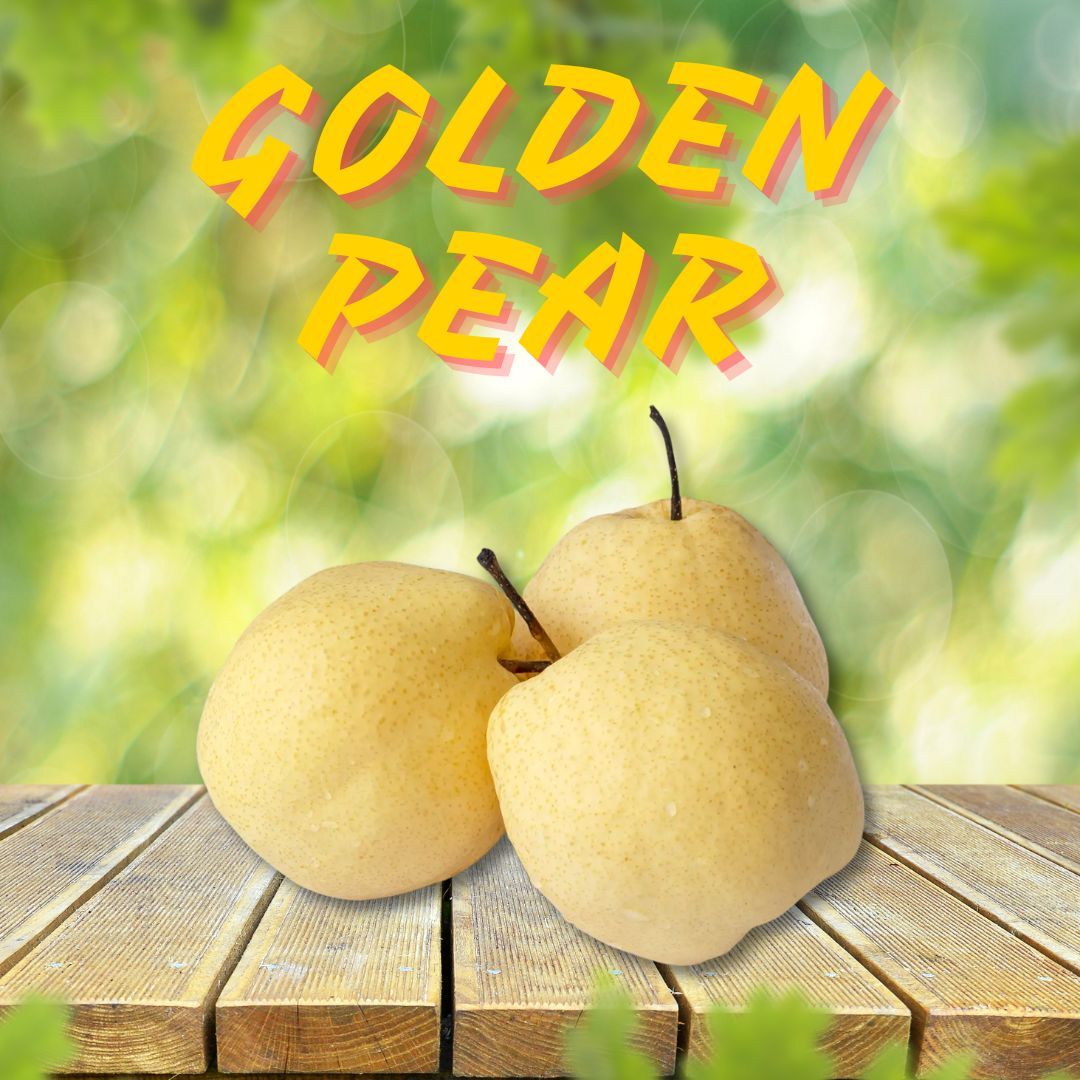GOLDEN PEAR