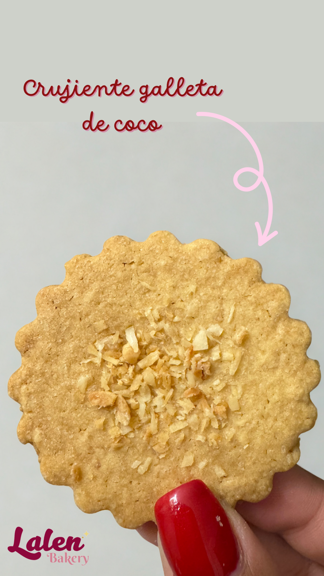Docena Galletas de coco 