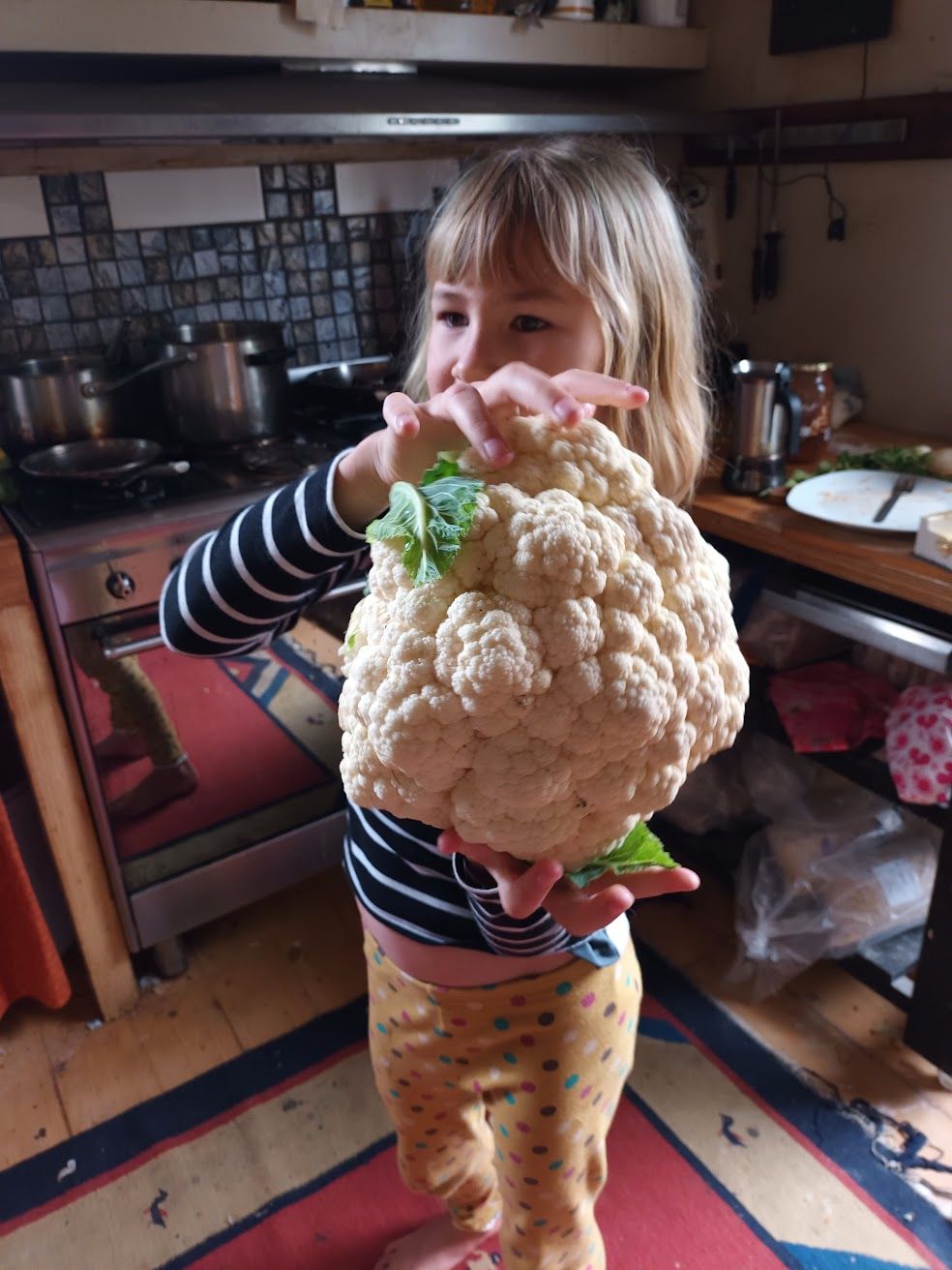 6 Sep Veg Growing workshop