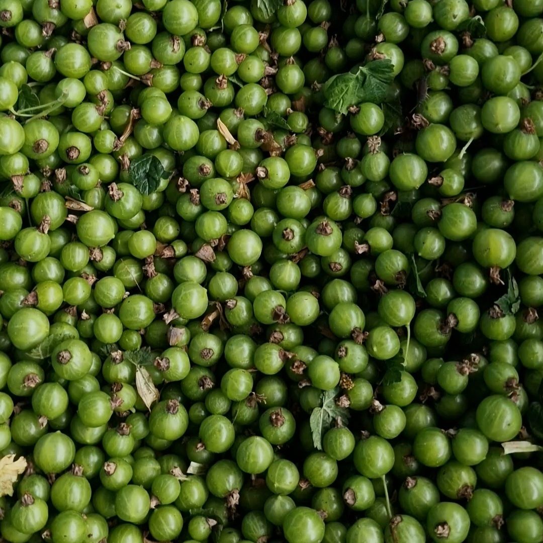 Premature zwarte bes / black currants  (Copy)