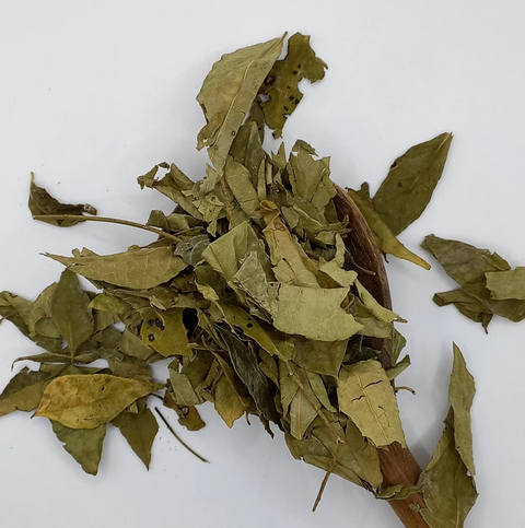 Curry Leaves 25g / Hojas de Curry 25g