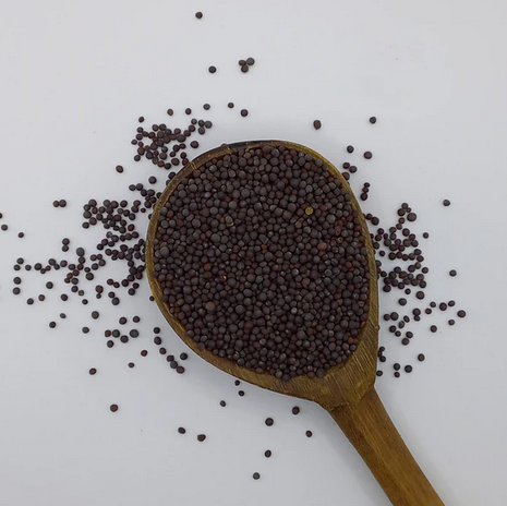 Mustard Seed (Brown) 50g / Semilla de Mostaza Marrón 50g