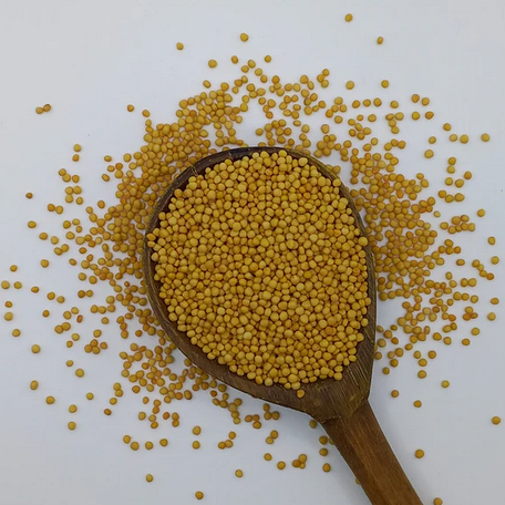 Mustard Seed (Yellow) 50g / Semilla de Mostaza Amarilla 50g