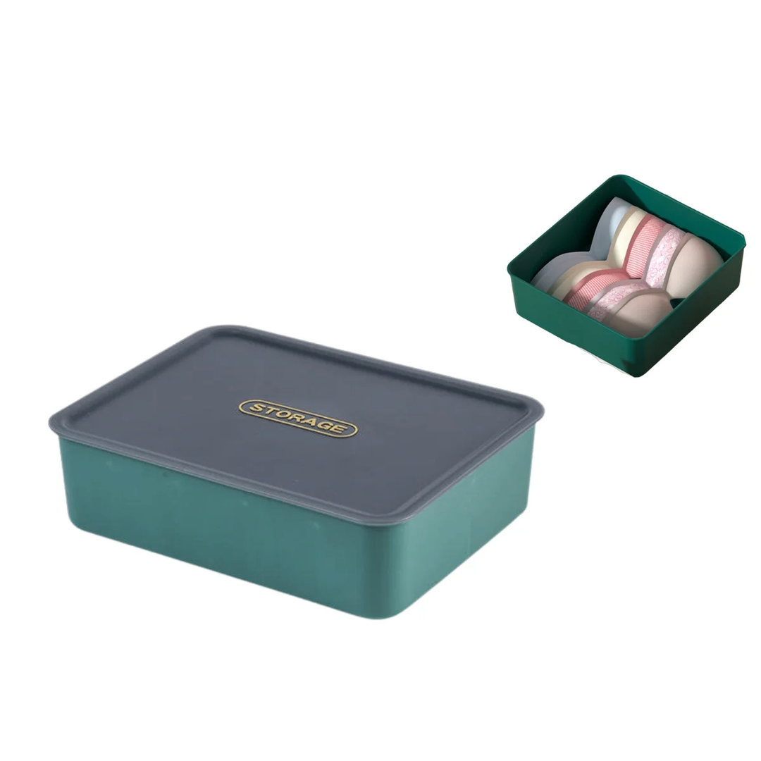 ORGANIZADOR PLASTICO ROPA INT. 10 COMP 31*24*9 CM