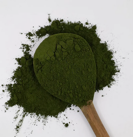 Chlorella 