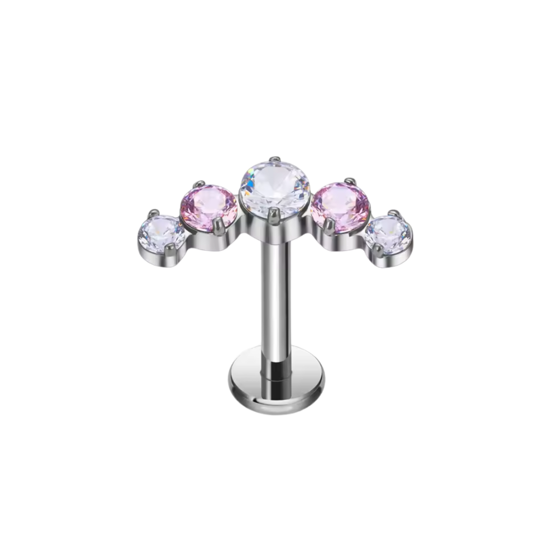 Labret cluster 5cz rosa