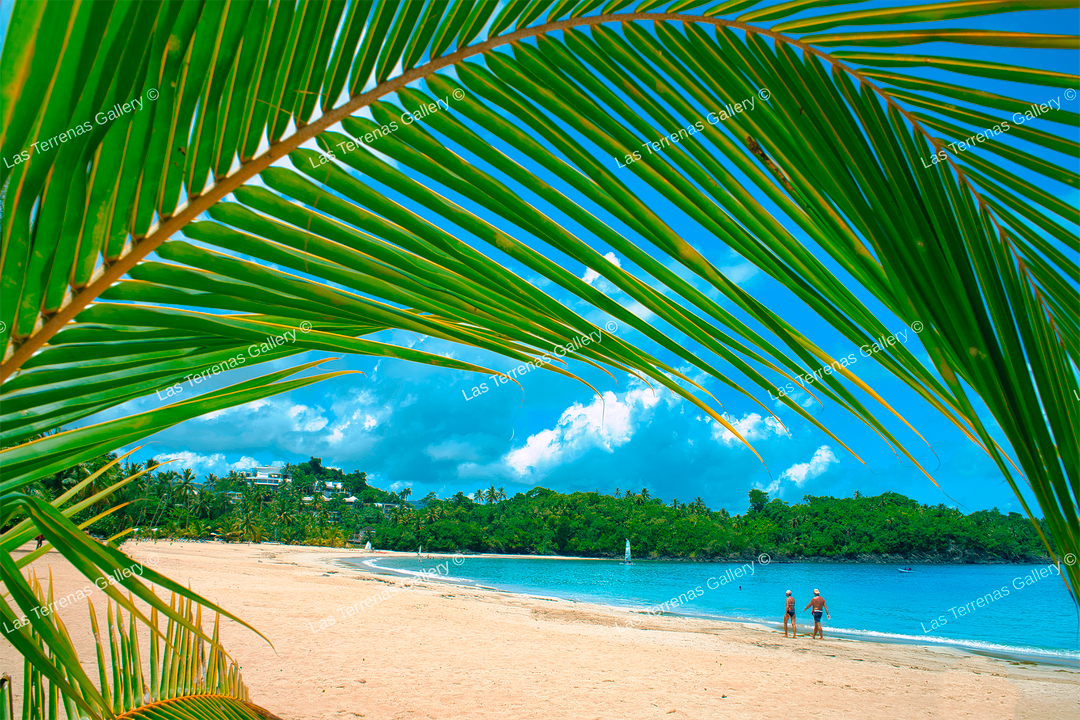 Playa Las Ballenas