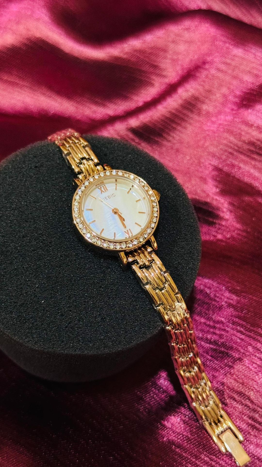 Liebig Original Steel Women Watch