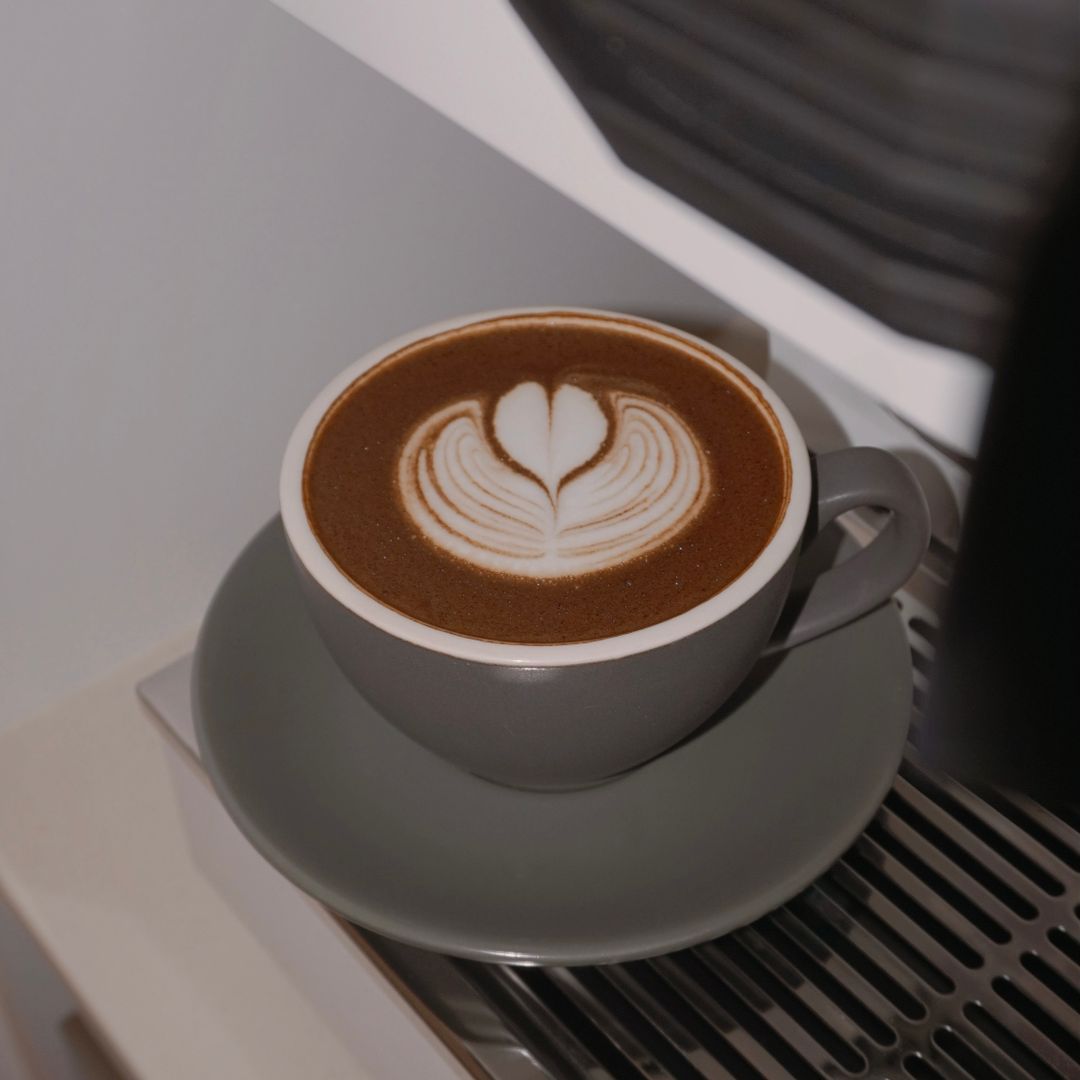 hojicha