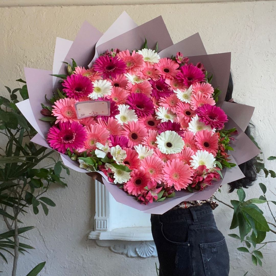 Maxi 50 gerberas