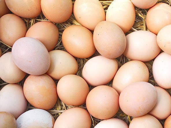 Eggs