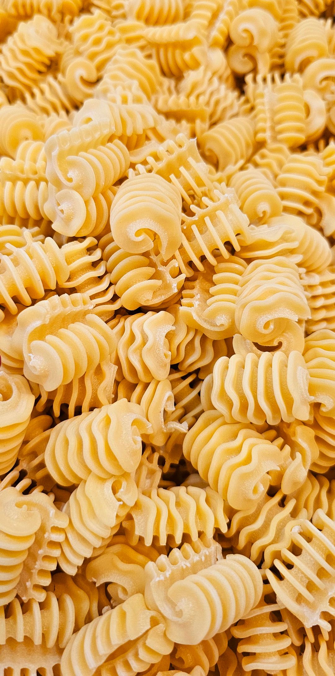 FRESH RADIATORI-130GR