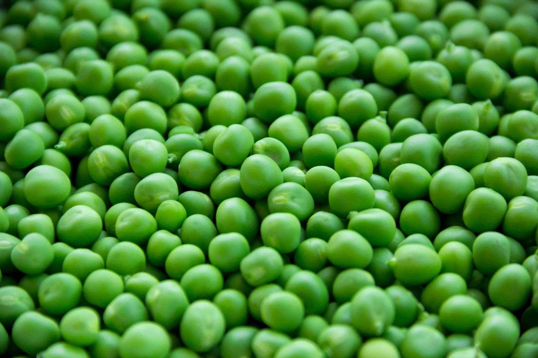 Fresh Peas