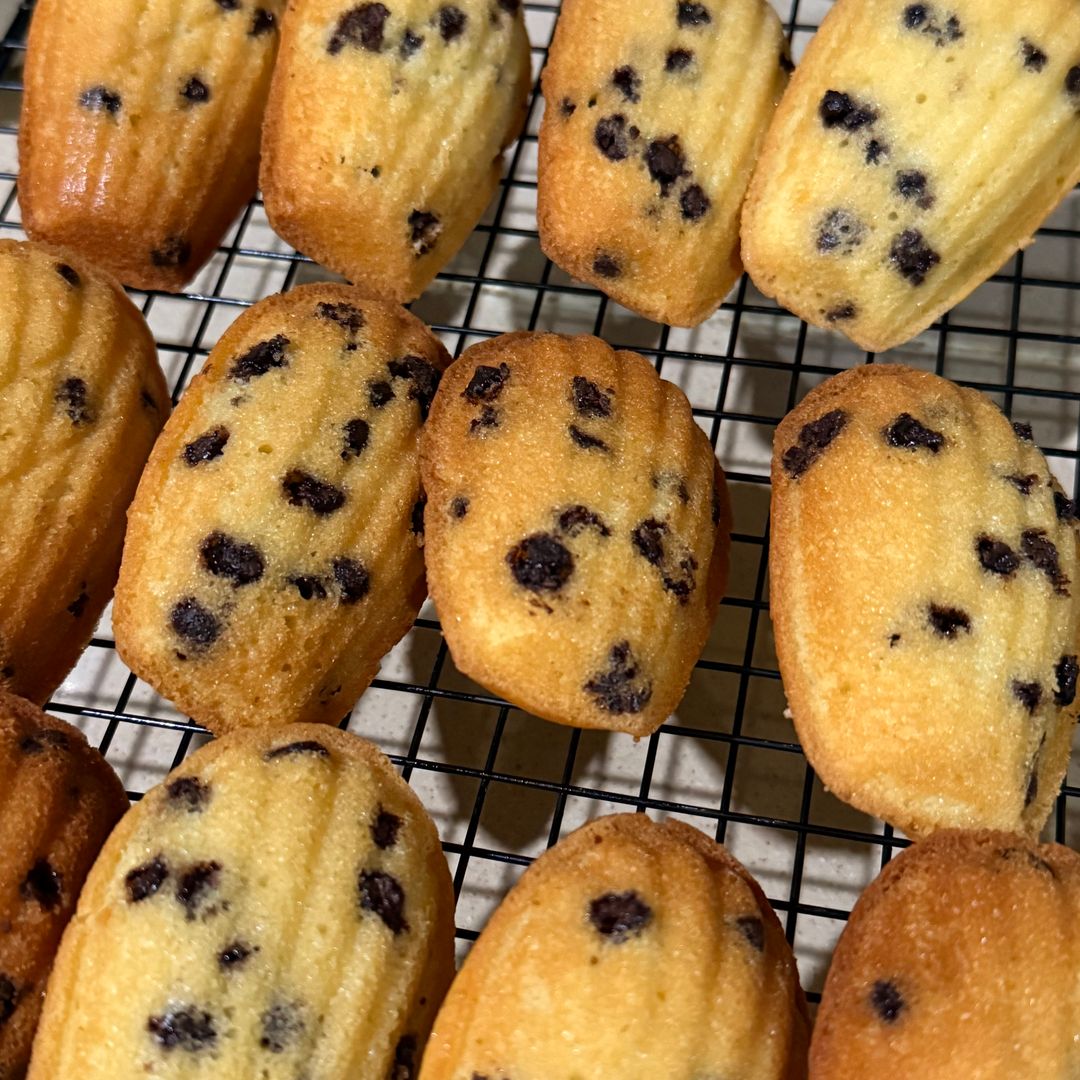Chocolate Chips Madeleine