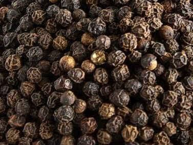 Black Pepper Seeds