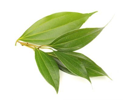 Cinnamon Leaves/Sticks