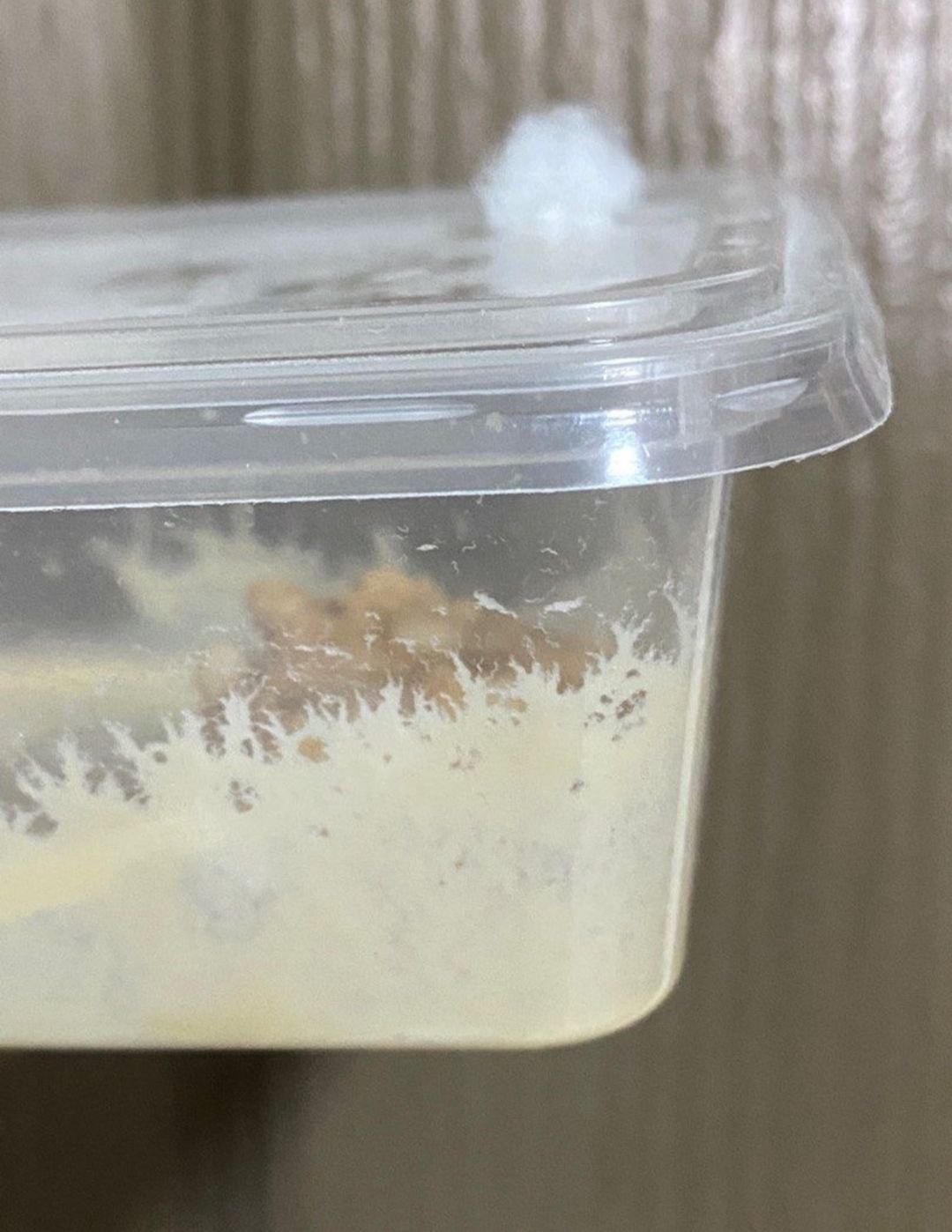 PRE-ORDER Microworms Starter (Upsized)