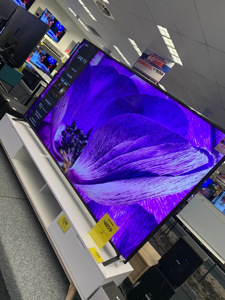 TV